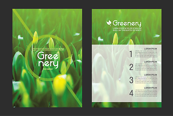 식물 일러스트 자연 사람없음 연두색 그리너리 국내일러스트 AI파일 초록색 생태계 파일형식 벡터 트랜드컬러