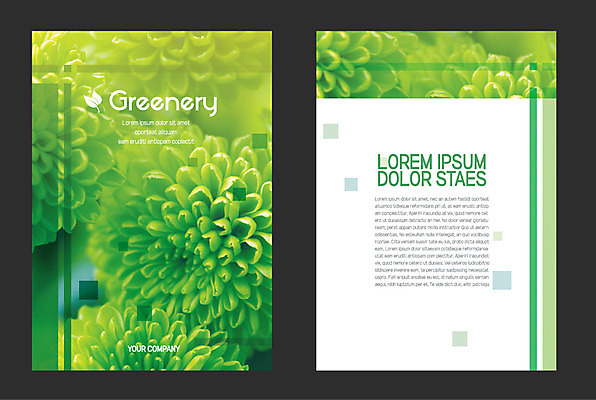 꽃 일러스트 자연 사람없음 연두색 그리너리 국내일러스트 AI파일 식물 초록색 생태계 파일형식 벡터 트랜드컬러