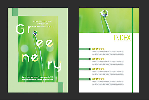 잎 일러스트 자연 사람없음 연두색 이슬 그리너리 국내일러스트 AI파일 식물 초록색 생태계 파일형식 벡터 트랜드컬러
