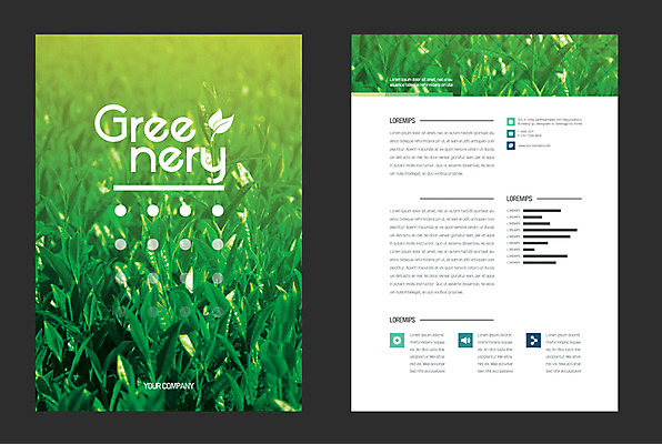 잎 일러스트 자연 사람없음 연두색 그리너리 국내일러스트 AI파일 식물 초록색 생태계 파일형식 벡터 트랜드컬러