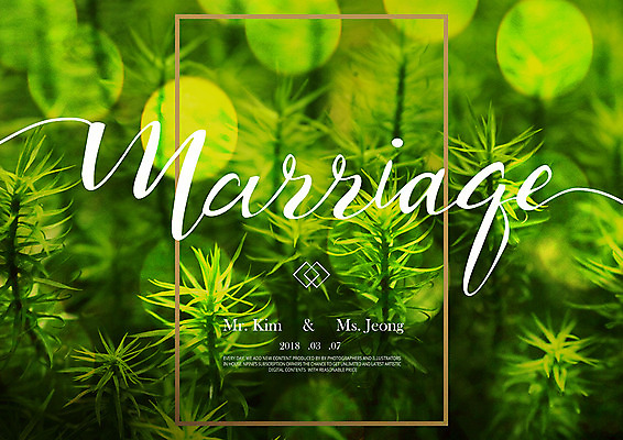 PSD 편집이미지 결혼 잎 사람없음 연두색 청첩장 보케 레터링 그리너리 이미지편집 식물 카드_감사 이벤트 초록색 파일형식 트랜드컬러
