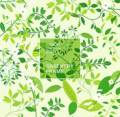 식물 꽃 일러스트 나뭇잎 프레임 사람없음 프레임일러스트 그리너리 국내일러스트 AI파일 잎 파일형식 벡터 트랜드컬러