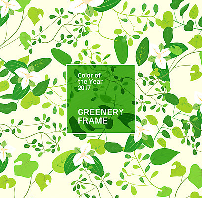 식물 꽃 일러스트 나뭇잎 프레임 사람없음 프레임일러스트 그리너리 국내일러스트 AI파일 잎 파일형식 벡터 트랜드컬러