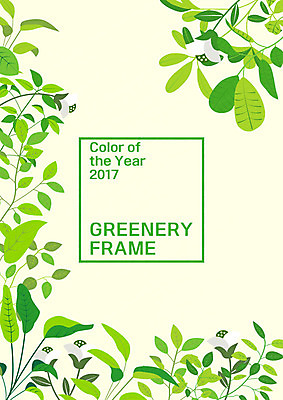 식물 꽃 일러스트 나뭇잎 프레임 사람없음 프레임일러스트 그리너리 국내일러스트 AI파일 잎 파일형식 벡터 트랜드컬러