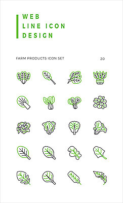 아이콘 채소 사람없음 농작물 세트 상추 라인아이콘 배추 청경채 시금치 루꼴라 쌈채소 2D아이콘 AI파일 농업 파일형식 벡터