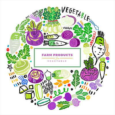 일러스트 사람없음 농작물 무 비트 총각무 콜라비 국내일러스트 AI파일 농업 채소 뿌리채소 파일형식 벡터