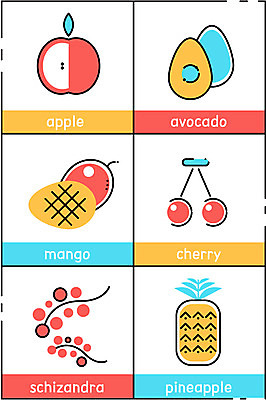 과일 일러스트 사람없음 세트 체리 사과 파인애플 망고 아보카도 오미자 국내일러스트 AI파일 열대과일 파일형식 벡터