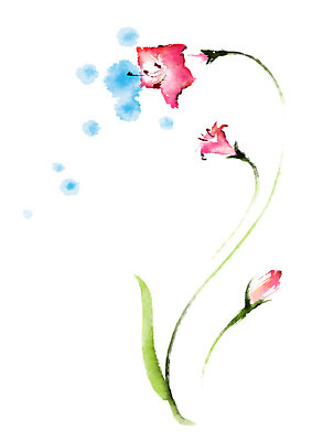 PSD 식물 꽃 일러스트 캘리그라피 붓터치 사람없음 국내일러스트 파일형식