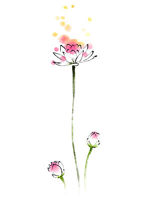 PSD 식물 꽃 일러스트 캘리그라피 붓터치 연꽃 사람없음 국내일러스트 파일형식