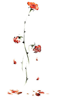 PSD 식물 꽃 일러스트 캘리그라피 붓터치 사람없음 장미 국내일러스트 파일형식