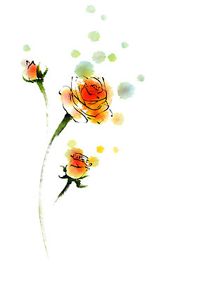 PSD 식물 꽃 일러스트 캘리그라피 붓터치 사람없음 장미 국내일러스트 파일형식