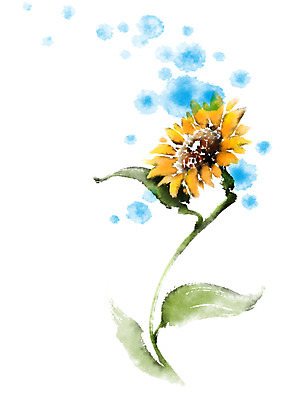 PSD 식물 꽃 일러스트 캘리그라피 붓터치 해바라기 사람없음 국내일러스트 파일형식