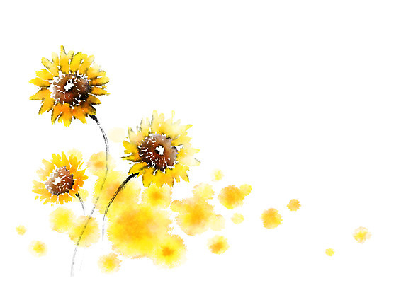 PSD 식물 꽃 일러스트 캘리그라피 붓터치 해바라기 사람없음 국내일러스트 파일형식