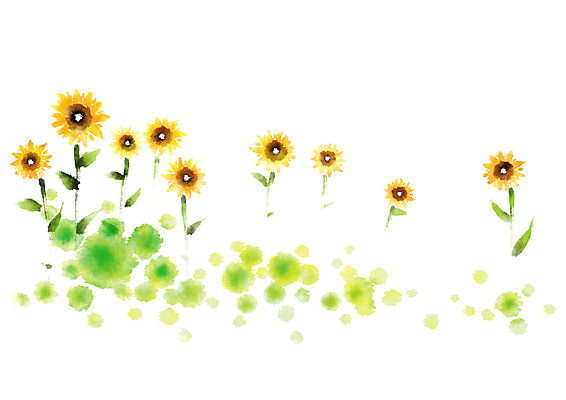 PSD 식물 꽃 일러스트 캘리그라피 붓터치 해바라기 사람없음 국내일러스트 파일형식