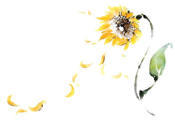 PSD 식물 꽃 일러스트 캘리그라피 붓터치 해바라기 사람없음 국내일러스트 파일형식