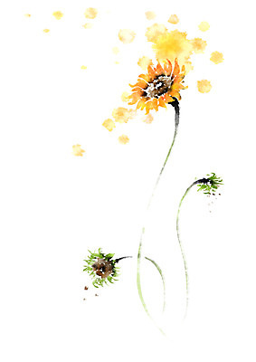 PSD 식물 꽃 일러스트 캘리그라피 붓터치 해바라기 사람없음 국내일러스트 파일형식