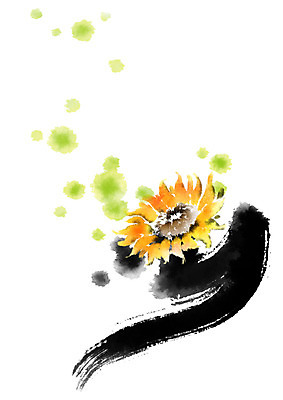 PSD 식물 꽃 일러스트 캘리그라피 붓터치 해바라기 사람없음 국내일러스트 파일형식