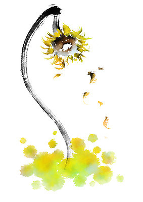 PSD 식물 꽃 일러스트 캘리그라피 붓터치 해바라기 사람없음 국내일러스트 파일형식