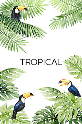 PSD 백그라운드 일러스트 열대 세마리 사람없음 여름 열대나무 야자수잎 몬스테라 큰부리새 보테니컬아트 트로피컬아트 국내일러스트 나무 식물 계절 잎 조류 3 그림 파일형식