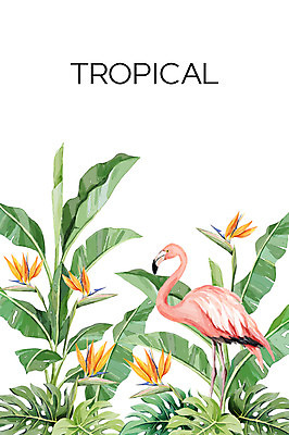 PSD 한마리 꽃 백그라운드 일러스트 열대 사람없음 여름 플라밍고 열대나무 야자수잎 극락조화 몬스테라 보테니컬아트 트로피컬아트 국내일러스트 나무 식물 1 계절 잎 조류 그림 파일형식