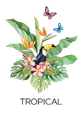 PSD 꽃 나비 백그라운드 두마리 일러스트 열대 세마리 사람없음 여름 플루메리아 열대나무 야자수잎 몬스테라 큰부리새 보테니컬아트 트로피컬아트 국내일러스트 나무 식물 계절 곤충 잎 2 조류 3 그림 파일형식