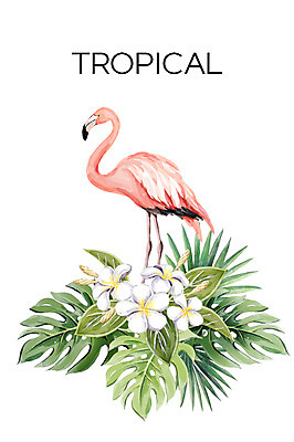 PSD 한마리 백그라운드 일러스트 열대 사람없음 여름 플라밍고 플루메리아 열대나무 야자수잎 몬스테라 보테니컬아트 트로피컬아트 국내일러스트 나무 식물 1 계절 꽃 잎 조류 그림 파일형식
