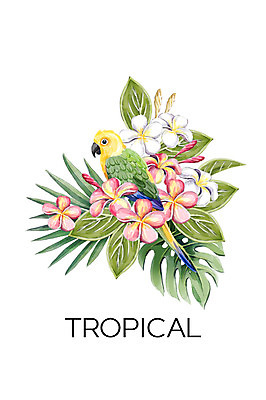 PSD 한마리 꽃 백그라운드 일러스트 열대 사람없음 여름 앵무새 플루메리아 열대나무 야자수잎 몬스테라 보테니컬아트 트로피컬아트 국내일러스트 나무 식물 1 계절 잎 조류 그림 파일형식