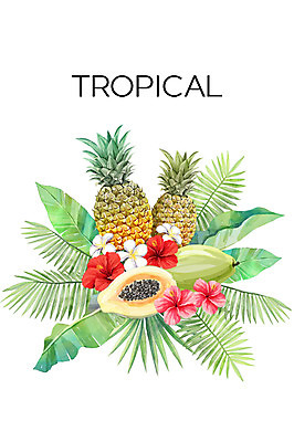 PSD 백그라운드 일러스트 사람없음 여름 파인애플 열대과일 플루메리아 야자수잎 파파야 히비스커스 보테니컬아트 트로피컬아트 국내일러스트 계절 꽃 잎 과일 그림 파일형식