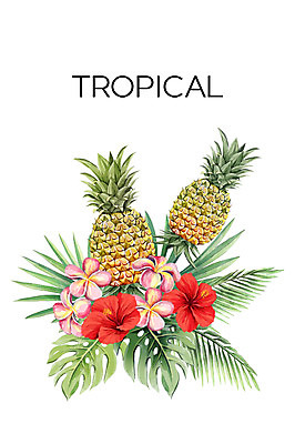 PSD 백그라운드 일러스트 열대 사람없음 여름 파인애플 플루메리아 야자수잎 몬스테라 열대꽃 히비스커스 보테니컬아트 트로피컬아트 국내일러스트 식물 계절 꽃 잎 과일 열대과일 그림 파일형식