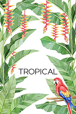 PSD 한마리 백그라운드 일러스트 사람없음 여름 앵무새 열대나무 야자수잎 열대꽃 헬리코니아 보테니컬아트 트로피컬아트 국내일러스트 나무 식물 1 계절 꽃 잎 조류 그림 파일형식