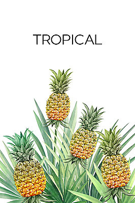 PSD 백그라운드 일러스트 열대 사람없음 여름 파인애플 야자수잎 보테니컬아트 트로피컬아트 국내일러스트 계절 잎 과일 열대과일 그림 파일형식