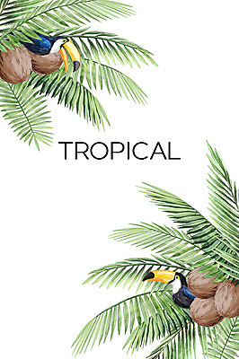 PSD 백그라운드 두마리 일러스트 열대 사람없음 여름 열대나무 야자수잎 코코넛나무 큰부리새 보테니컬아트 트로피컬아트 국내일러스트 나무 계절 잎 2 조류 그림 파일형식