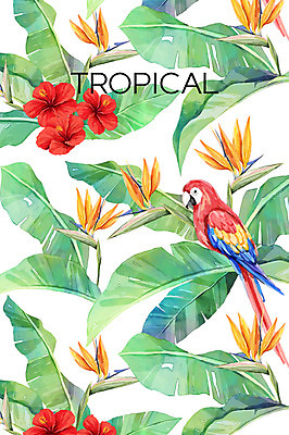 PSD 한마리 꽃 백그라운드 일러스트 열대 사람없음 여름 앵무새 야자수잎 극락조화 히비스커스 보테니컬아트 트로피컬아트 국내일러스트 식물 1 계절 잎 조류 그림 파일형식