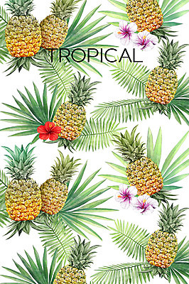 PSD 백그라운드 일러스트 열대 사람없음 여름 파인애플 야자수잎 히비스커스 보테니컬아트 트로피컬아트 국내일러스트 계절 꽃 잎 과일 열대과일 그림 파일형식