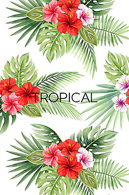 PSD 백그라운드 일러스트 열대 사람없음 여름 야자수잎 몬스테라 히비스커스 보테니컬아트 트로피컬아트 국내일러스트 식물 계절 꽃 잎 그림 파일형식