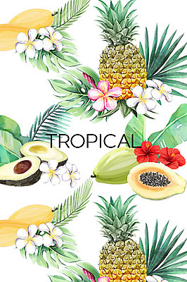 PSD 꽃 백그라운드 일러스트 열대 사람없음 여름 파인애플 플루메리아 망고 야자수잎 아보카도 몬스테라 파파야 히비스커스 보테니컬아트 트로피컬아트 국내일러스트 식물 계절 잎 과일 열대과일 그림 파일형식