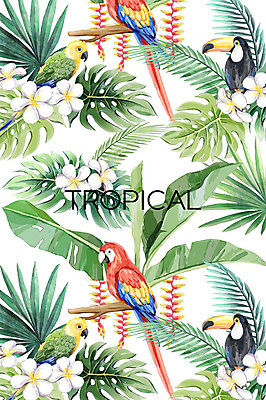 PSD 백그라운드 여러마리 일러스트 열대 사람없음 여름 열대우림 앵무새 플루메리아 야자수잎 몬스테라 큰부리새 헬리코니아 보테니컬아트 트로피컬아트 국내일러스트 식물 계절 꽃 다수 잎 조류 숲 그림 파일형식