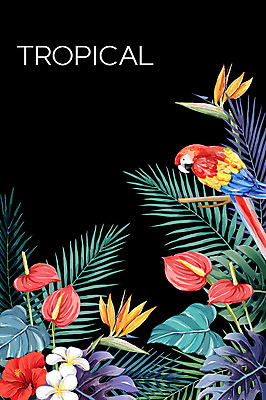 PSD 한마리 백그라운드 일러스트 열대 사람없음 여름 앵무새 플루메리아 야자수잎 극락조화 몬스테라 열대꽃 히비스커스 보테니컬아트 트로피컬아트 국내일러스트 식물 1 계절 꽃 잎 조류 그림 파일형식