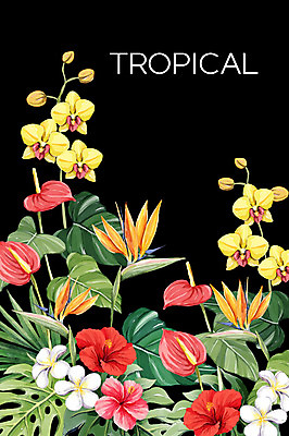 PSD 백그라운드 일러스트 열대 사람없음 여름 플루메리아 야자수잎 극락조화 몬스테라 양란 열대꽃 히비스커스 보테니컬아트 트로피컬아트 국내일러스트 식물 계절 꽃 잎 난초 그림 파일형식