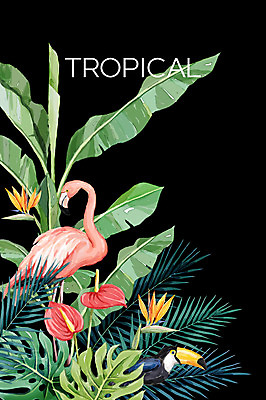 PSD 백그라운드 두마리 일러스트 사람없음 여름 플라밍고 열대나무 야자수잎 극락조화 몬스테라 열대꽃 큰부리새 보테니컬아트 트로피컬아트 국내일러스트 나무 식물 계절 꽃 잎 2 조류 그림 파일형식