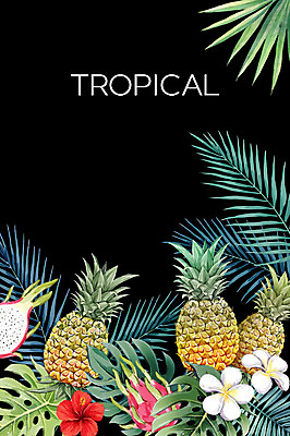 PSD 백그라운드 일러스트 사람없음 여름 파인애플 플루메리아 야자수잎 용과 몬스테라 열대꽃 히비스커스 보테니컬아트 트로피컬아트 국내일러스트 식물 계절 꽃 잎 과일 열대과일 그림 파일형식