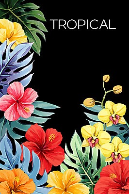 PSD 백그라운드 일러스트 사람없음 여름 야자수잎 몬스테라 양란 열대꽃 히비스커스 보테니컬아트 트로피컬아트 국내일러스트 식물 계절 꽃 잎 난초 그림 파일형식