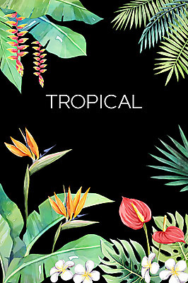 PSD 백그라운드 일러스트 사람없음 여름 플루메리아 야자수잎 극락조화 몬스테라 열대꽃 헬리코니아 보테니컬아트 트로피컬아트 국내일러스트 식물 계절 꽃 잎 그림 파일형식