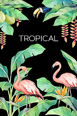 PSD 백그라운드 일러스트 세마리 사람없음 여름 플라밍고 열대나무 야자수잎 극락조화 열대꽃 큰부리새 헬리코니아 보테니컬아트 트로피컬아트 국내일러스트 나무 식물 계절 꽃 잎 조류 3 그림 파일형식