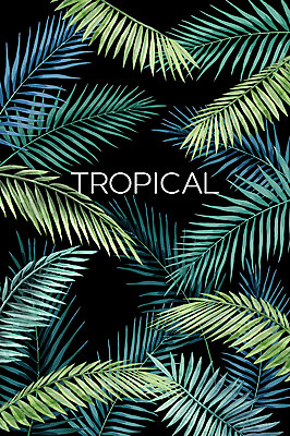 PSD 백그라운드 일러스트 열대 사람없음 여름 야자수잎 보테니컬아트 트로피컬아트 국내일러스트 계절 잎 그림 파일형식