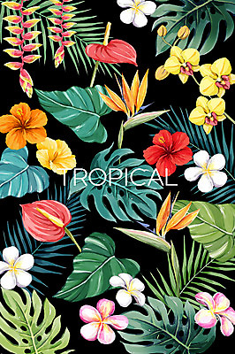PSD 백그라운드 일러스트 사람없음 여름 플루메리아 열대나무 야자수잎 극락조화 몬스테라 양란 열대꽃 헬리코니아 히비스커스 보테니컬아트 트로피컬아트 국내일러스트 나무 식물 계절 꽃 잎 난초 그림 파일형식
