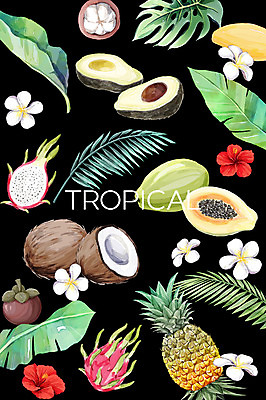 PSD 백그라운드 일러스트 사람없음 여름 파인애플 열대과일 코코넛 망고 야자수잎 아보카도 용과 망고스틴 몬스테라 열대꽃 파파야 보테니컬아트 트로피컬아트 국내일러스트 식물 계절 꽃 잎 과일 그림 파일형식