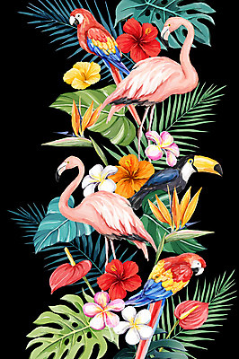 PSD 백그라운드 여러마리 일러스트 사람없음 여름 플라밍고 앵무새 열대나무 야자수잎 극락조화 몬스테라 열대꽃 큰부리새 히비스커스 보테니컬아트 트로피컬아트 국내일러스트 나무 식물 계절 꽃 다수 잎 조류 그림 파일형식
