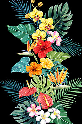 PSD 백그라운드 일러스트 사람없음 여름 플루메리아 야자수잎 극락조화 몬스테라 열대꽃 히비스커스 보테니컬아트 트로피컬아트 국내일러스트 식물 계절 꽃 잎 그림 파일형식