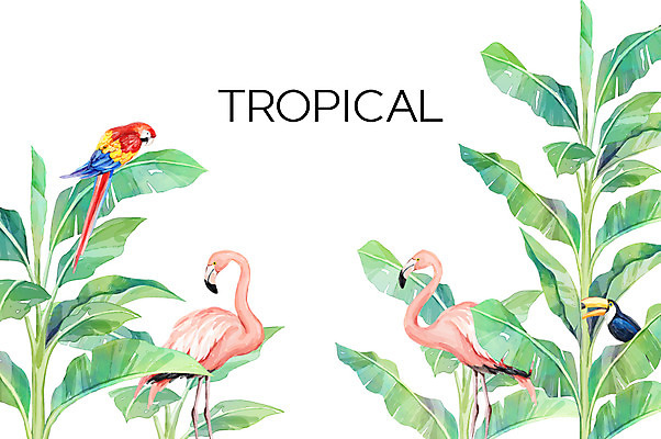 PSD 백그라운드 여러마리 일러스트 사람없음 여름 플라밍고 앵무새 열대나무 야자수잎 열대꽃 큰부리새 헬리코니아 보테니컬아트 트로피컬아트 국내일러스트 나무 식물 계절 꽃 다수 잎 조류 그림 파일형식